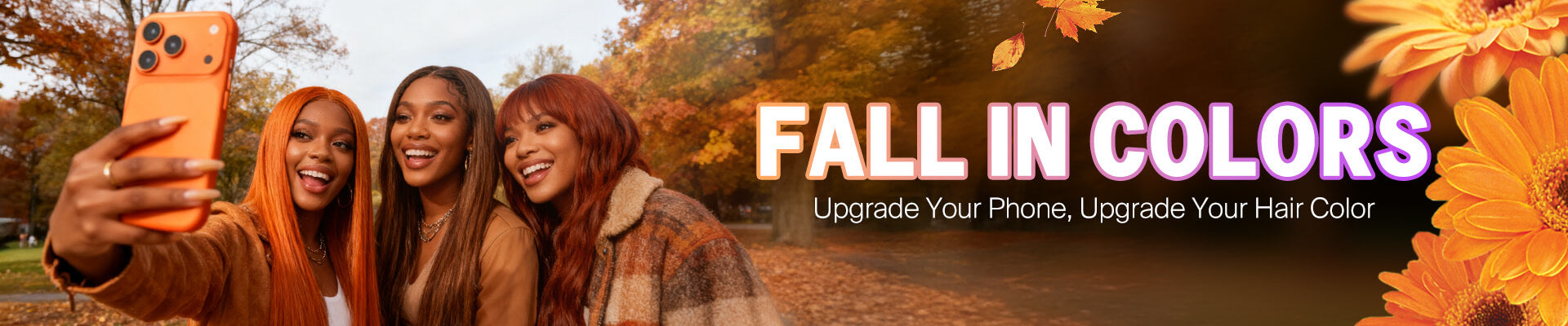 Banner Of Color Wig On Desktop